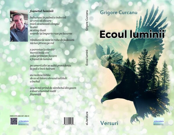 Ecoul luminii - Image 2