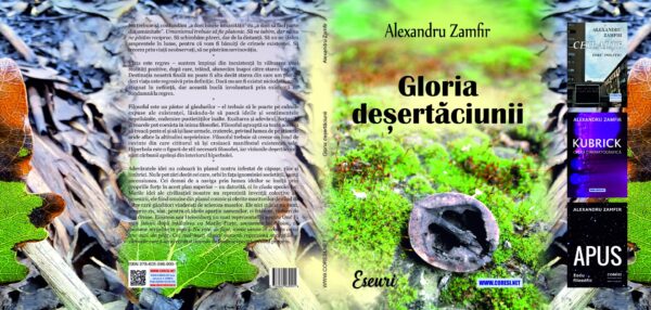 Gloria deșertăciunii - Image 3